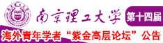 女人的阴部被男人插到高潮网站南京理工大学第十四届海外青年学者紫金论坛诚邀海内外英才！